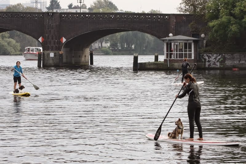 SUP Dog Kurse Stand Up Paddling mit Hund Alster Hamburg III